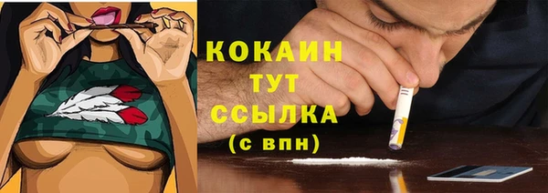 крисы Белоозёрский