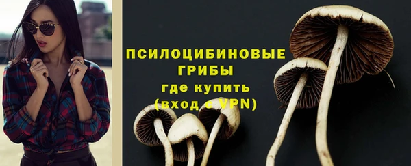 крисы Белоозёрский