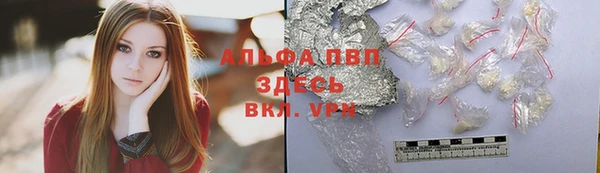 крисы Белоозёрский