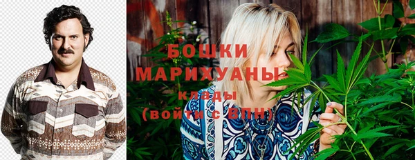 крисы Белоозёрский
