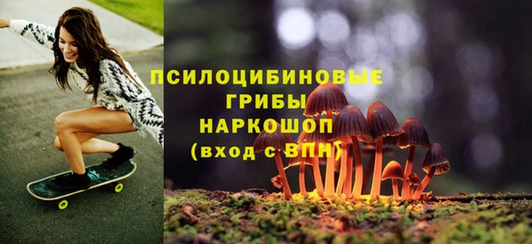 гидропоника Белокуриха
