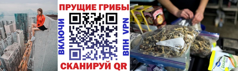 Галлюциногенные грибы GOLDEN TEACHER  Ялуторовск 